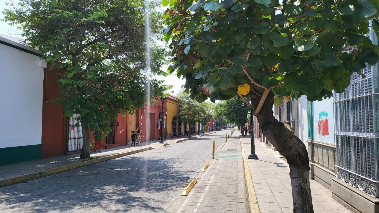 Oaxaca Departments Independencia Apartment Exterior foto